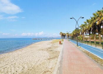 2024/11/15 Söke – Ağaçlı – Davutlar – Kadıkalesi – Kuşadası – Bayraklıdere – Selçuk