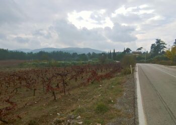 2024/11/18 Selçuk – İZBAN – Cumaovası – Menderes – Dereköy – Yeniköy – Kuyucak – Orhanlı – Kavakdere – Seferihisar – Ulamış – Bademler- Çamlı – Yelki – Şirinkent